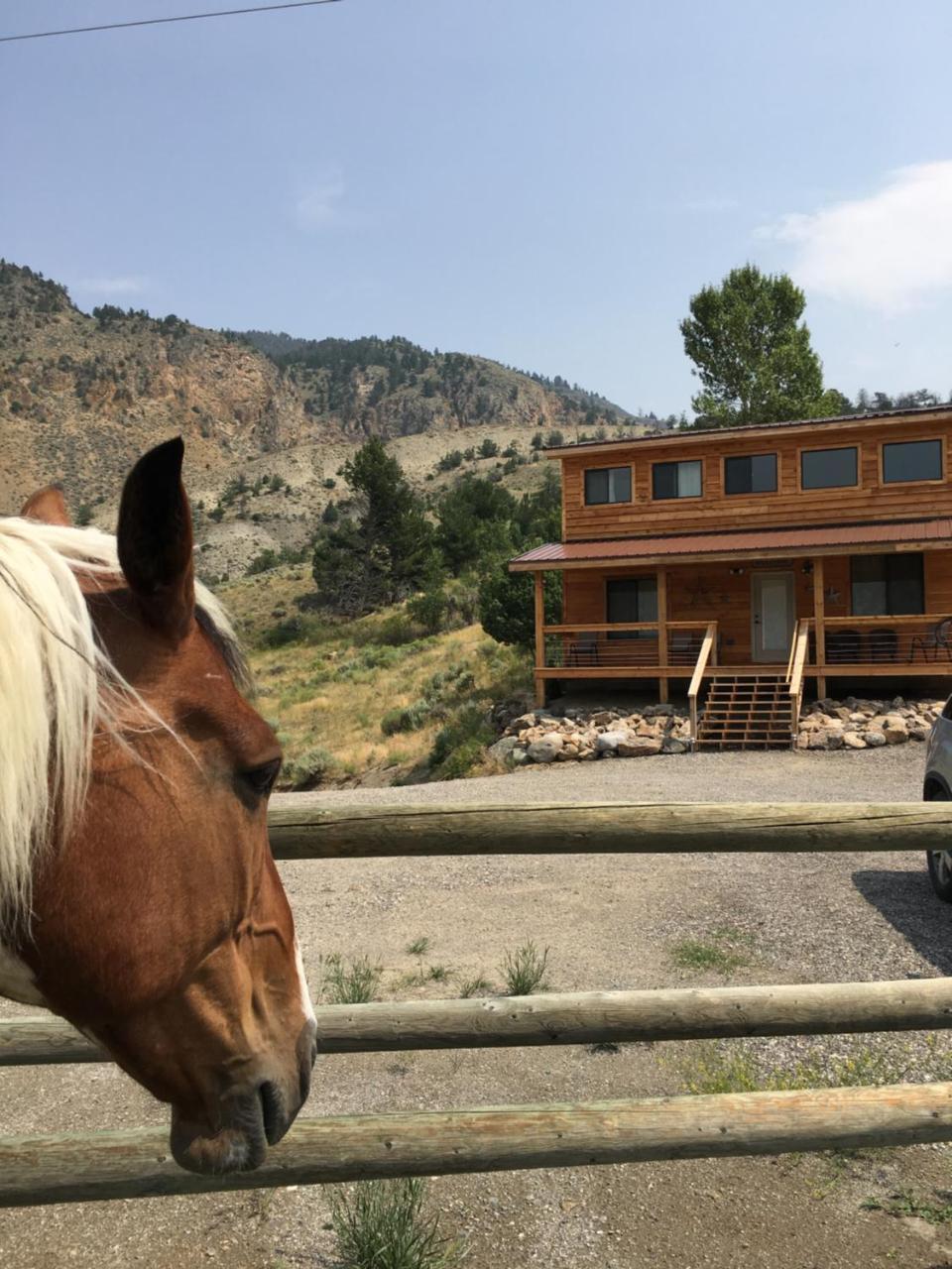 Little Trail Creek Cabins Villa Gardiner Exteriör bild