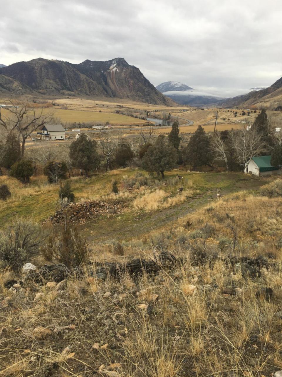 Little Trail Creek Cabins Villa Gardiner Exteriör bild